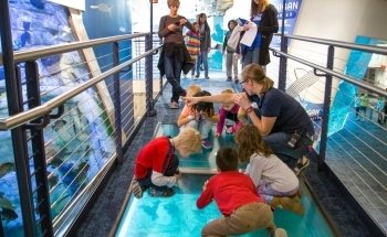 Discovery World's Reiman Aquarium