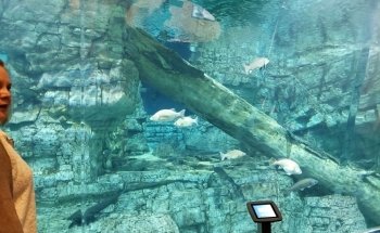 Discovery World's Reiman Aquarium