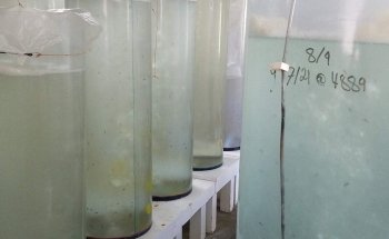 Oceanarium and Education Center