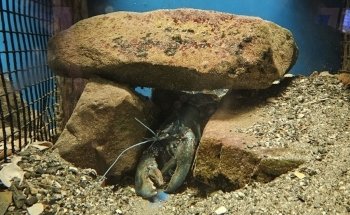 Oceanarium and Education Center