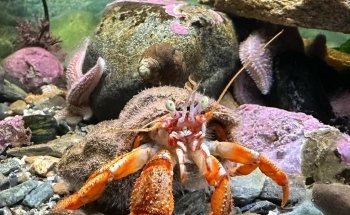 Oceanarium and Education Center