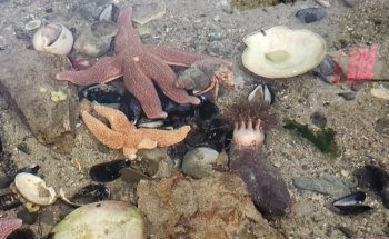 Oceanarium and Education Center