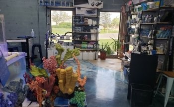 Ocean Reef's Den (ORD) Aquatics