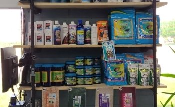 Ocean Reef's Den (ORD) Aquatics