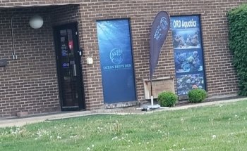Ocean Reef's Den (ORD) Aquatics