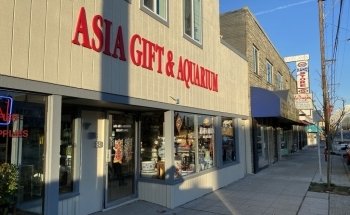 Asia Gift & Aquarium