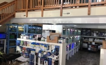 Pete's Aquariums & Fish