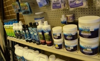 Rob's Aquatics