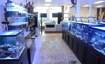 Rob's Aquatics