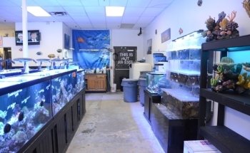 Rob's Aquatics