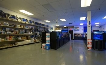 Rob's Aquatics