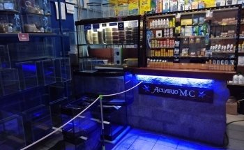 ACUARIO M.C.