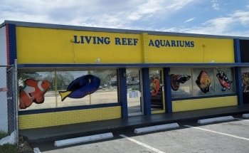 Living Reef Aquariums
