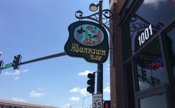 The Aquarium