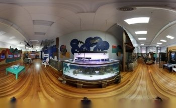Team E.C.C.O. & the Aquarium & Shark Lab by Team ECCO