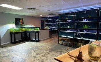 Fluid Dynamics Aquarium Services and Store