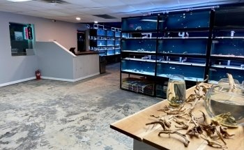 Fluid Dynamics Aquarium Services and Store