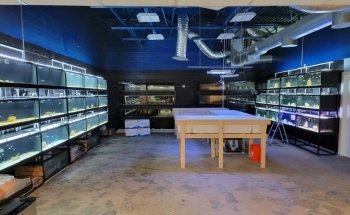 Fluid Dynamics Aquarium Services and Store
