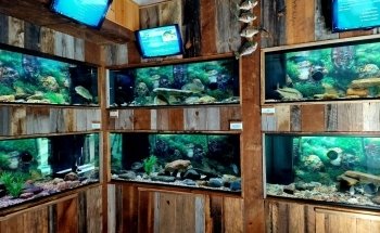 Appalachian Rivers Aquarium