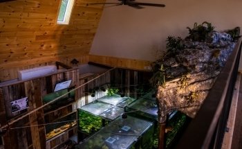Appalachian Rivers Aquarium