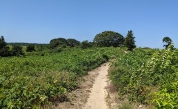 Cape Cod Museum Of Natural History