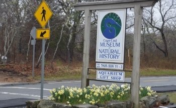Cape Cod Museum Of Natural History