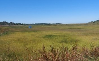 Cape Cod Museum Of Natural History