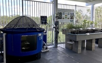 FAU Harbor Branch Ocean Discovery Visitors Center
