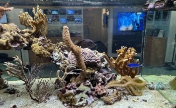 FAU Harbor Branch Ocean Discovery Visitors Center