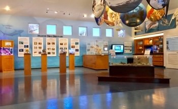 FAU Harbor Branch Ocean Discovery Visitors Center