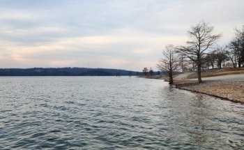 Robinson Point
