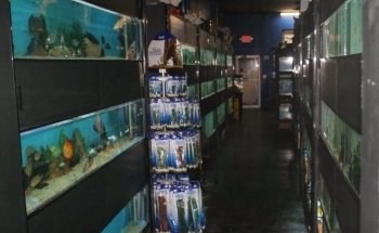 Aquarium Paradise