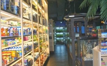 Aquarium Paradise