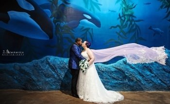 Atlantis Banquets & Events