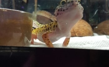 Aquariums By JJ
