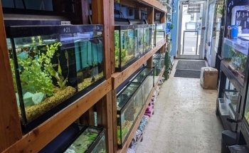 Aquariums By JJ