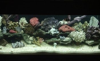The Deep