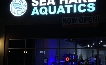 Acuáticos Sea Hare