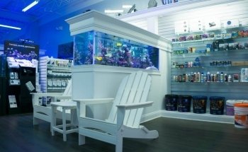 The Reef Gallery