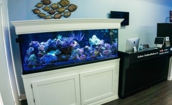 The Reef Gallery