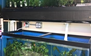 1st Class Aquarium