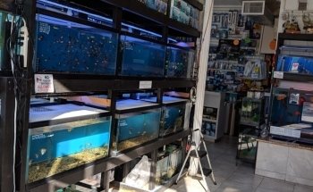 1st Class Aquarium