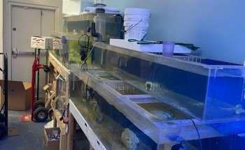 Aquatic Underworld
