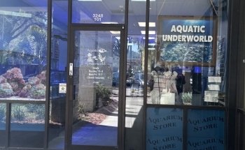 Inframundo Acuático