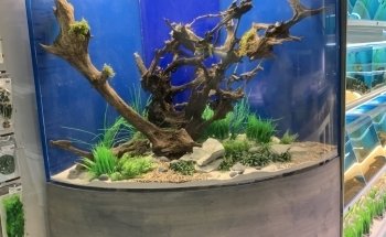 Koi Smart Pond & Aquarium Supply Store