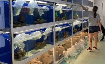 Koi Smart Pond & Aquarium Supply Store