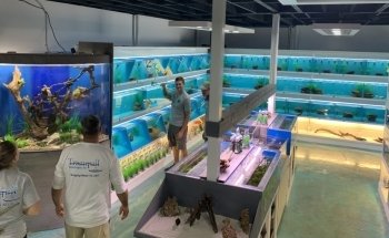 Koi Smart Pond & Aquarium Supply Store