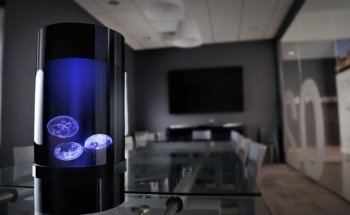 Jellyfish Art