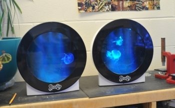 Jellyfish Art
