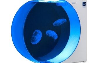 Jellyfish Art